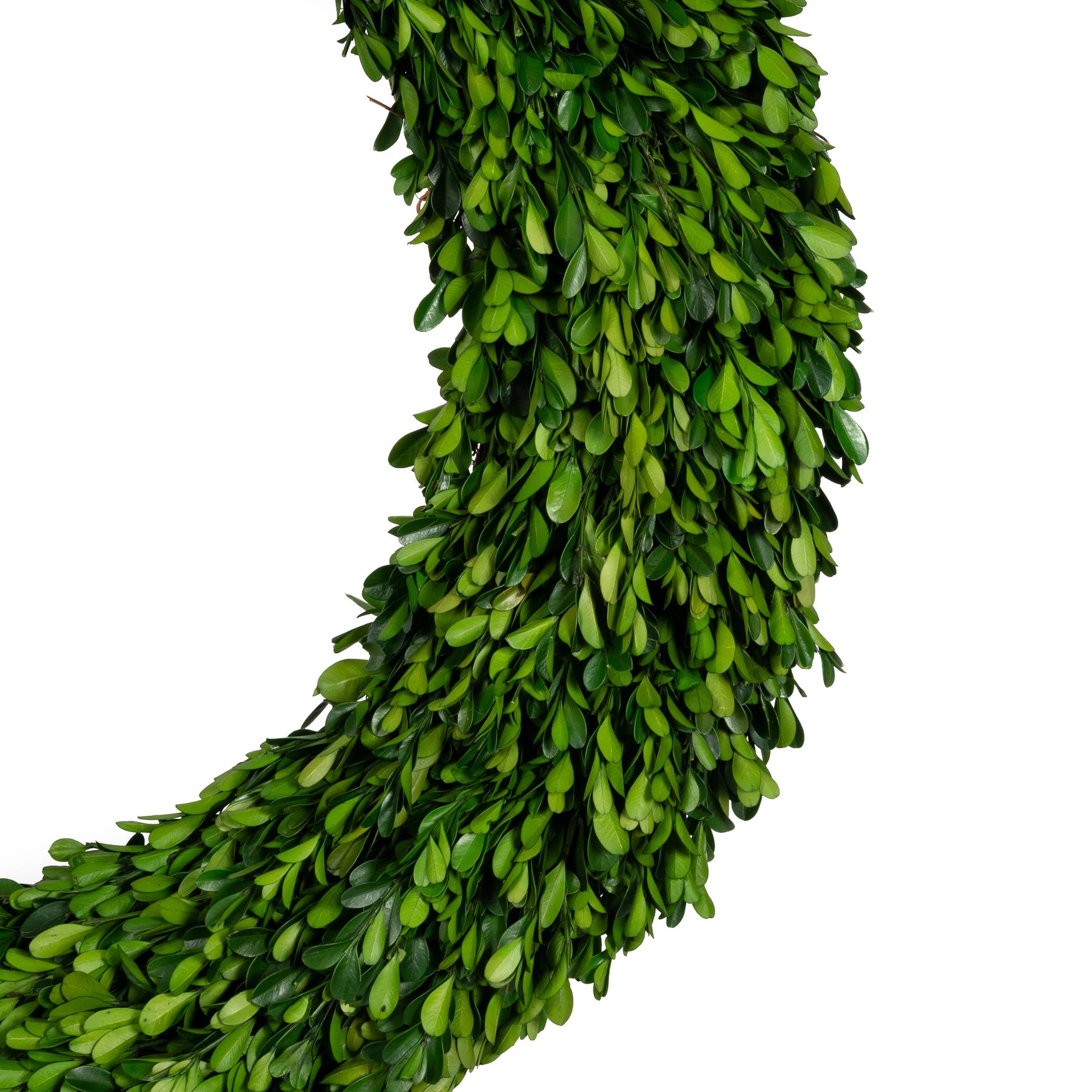 Haven Signature Preserved Boxwood Wreath 30"