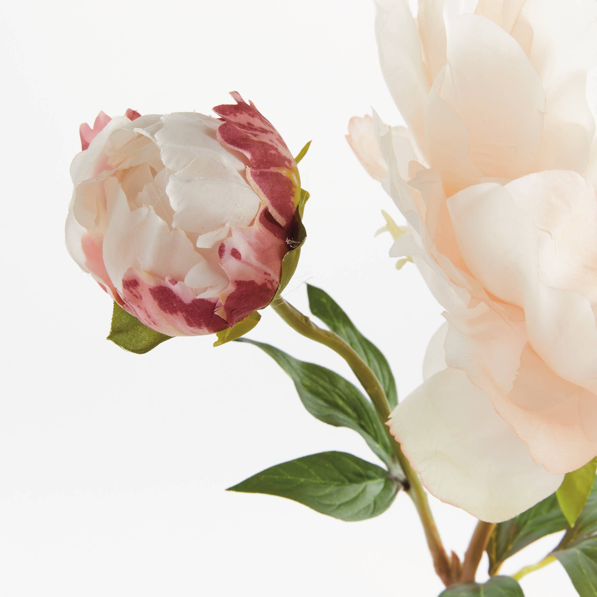 Peony Stem Light Pink 21"