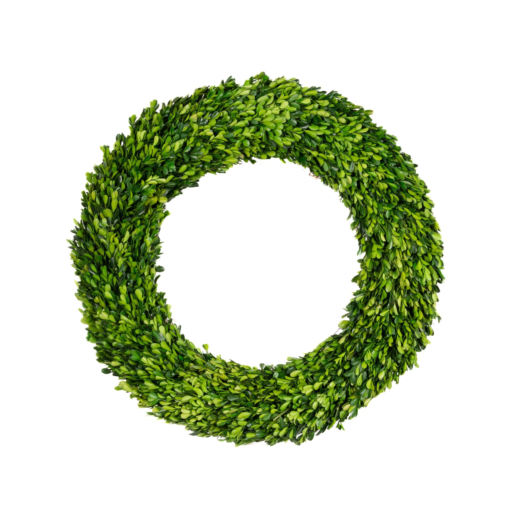 Haven Signature Preserved Boxwood Wreath 30"