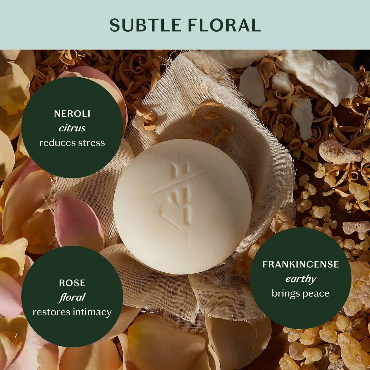Daily Stone | Deep Moisturizing Lotion Bar (3.5 oz)