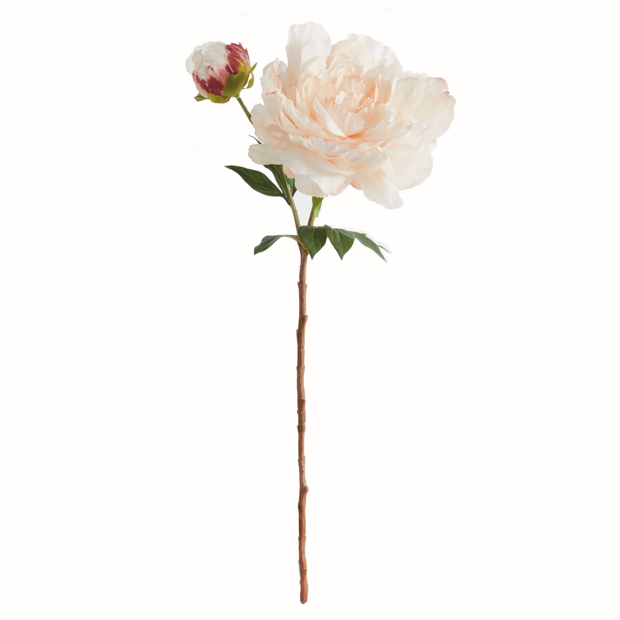 Peony Stem Light Pink 21"