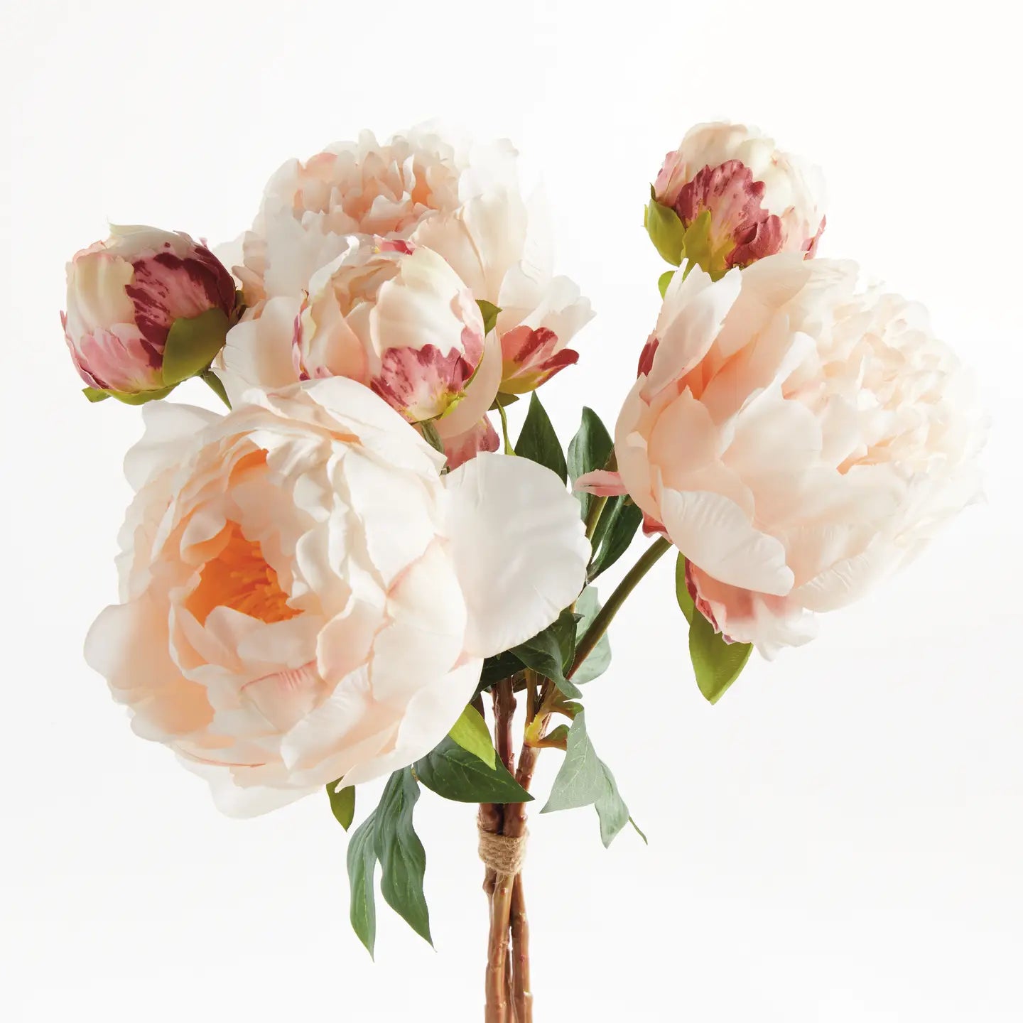 Peonies 21", Bundle of 3 Light Pink