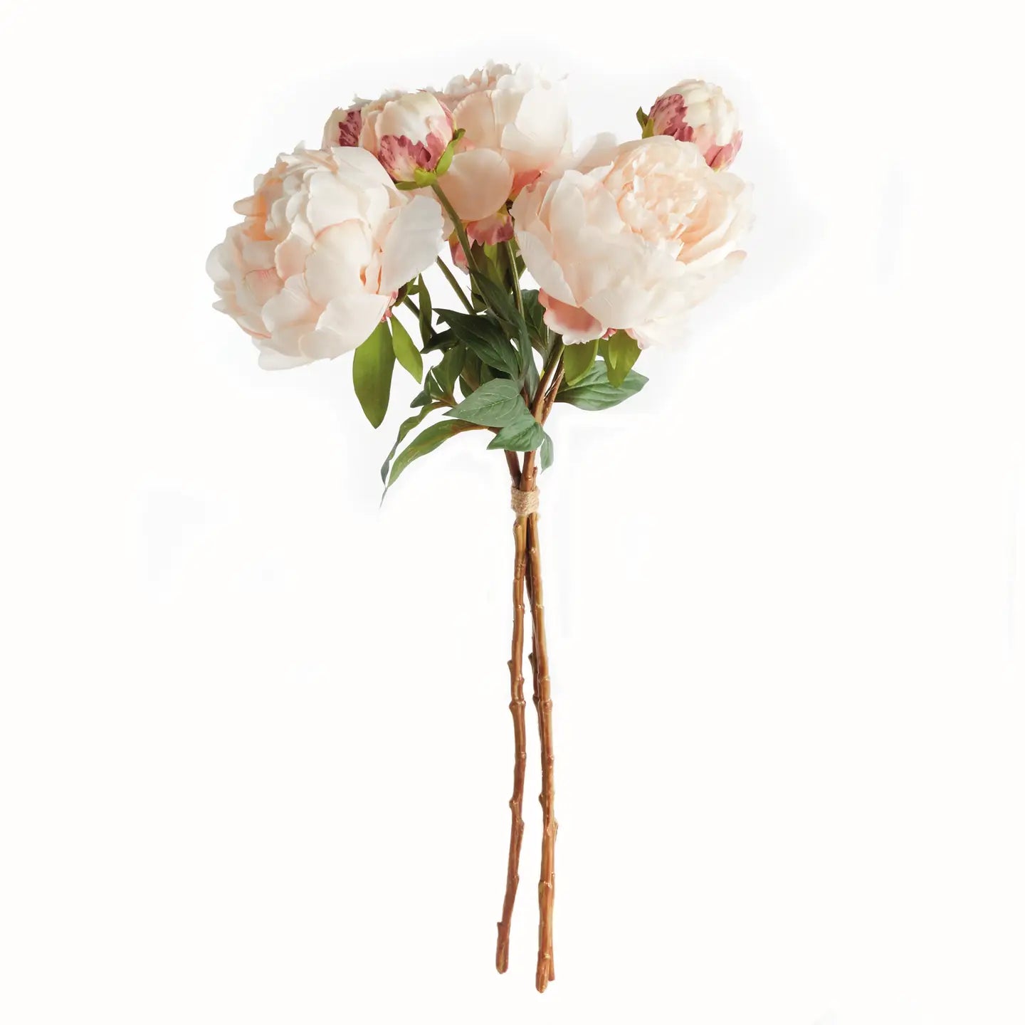 Peonies 21", Bundle of 3 Light Pink