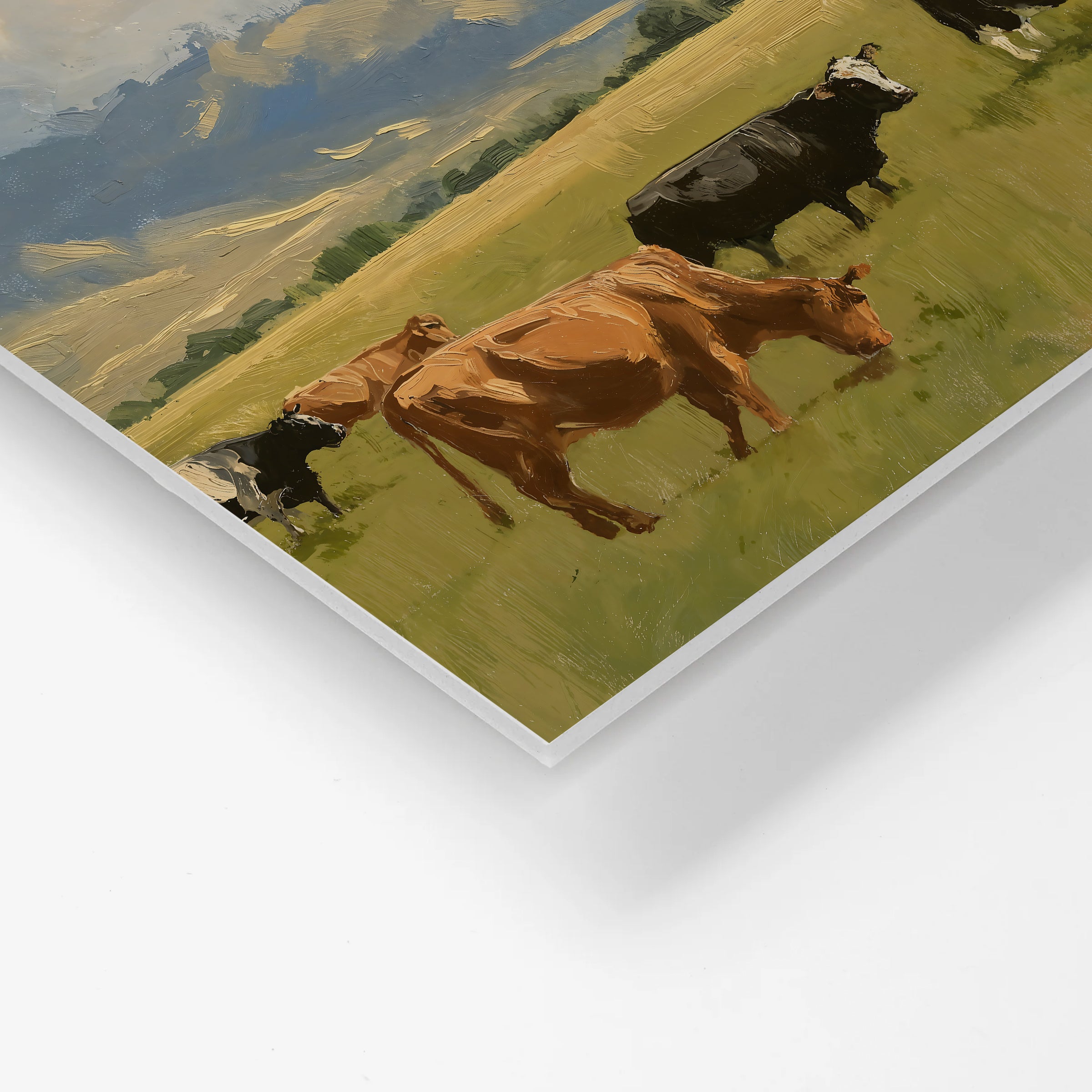 Cows in Pasture