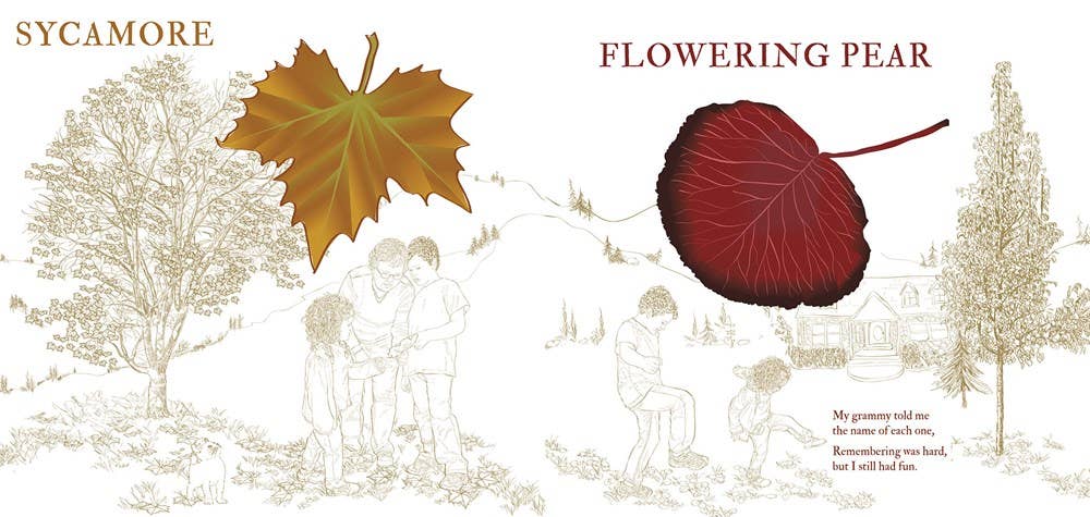 Fall Walk Paperback