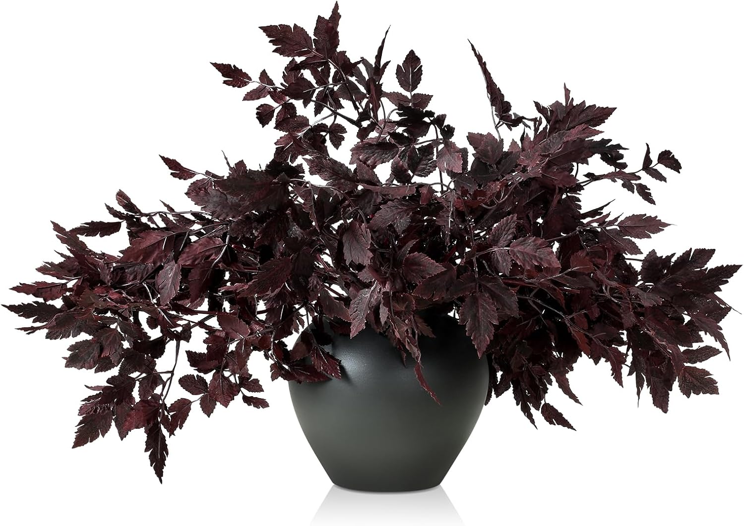 Plum Cimicifuga Ramosa Leaf Branch 32"