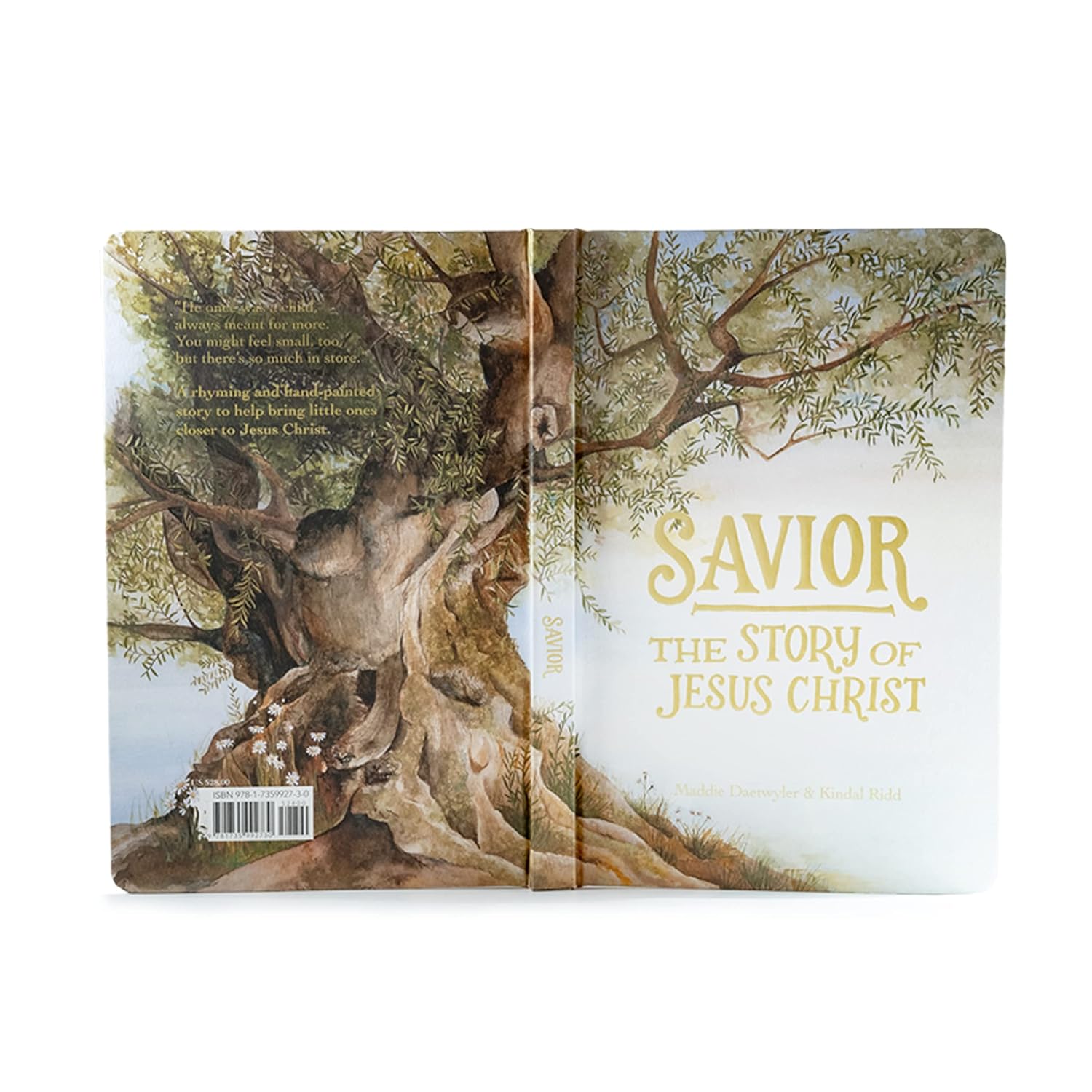 Savior: The Story of Jesus Christ