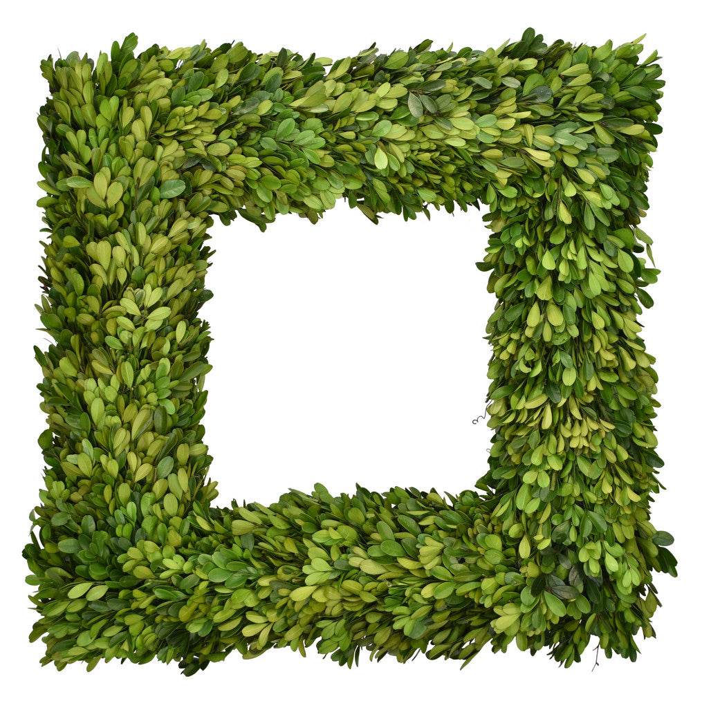 Haven Signature Preserved Boxwood  Square Wreath 20"