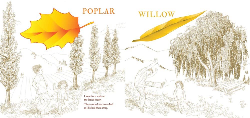 Fall Walk Paperback