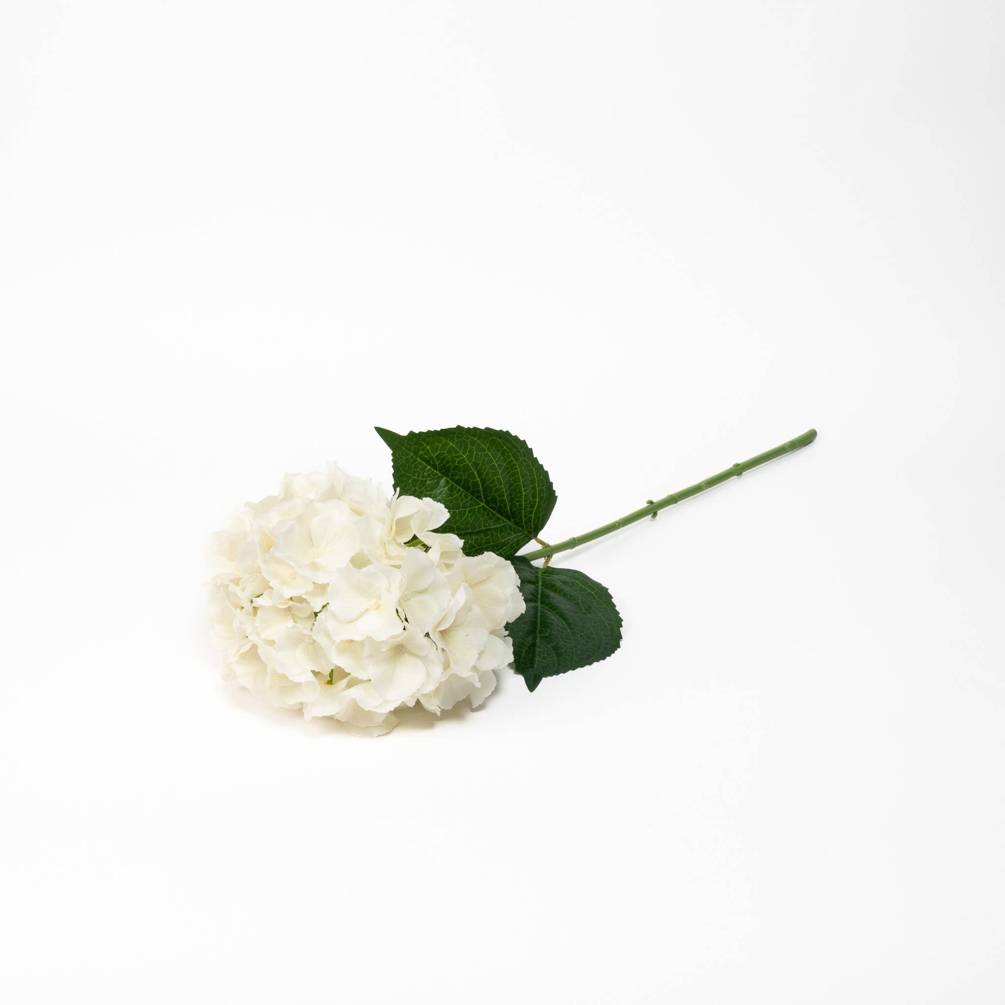 Real Touch Hydrangea Ivory 29"