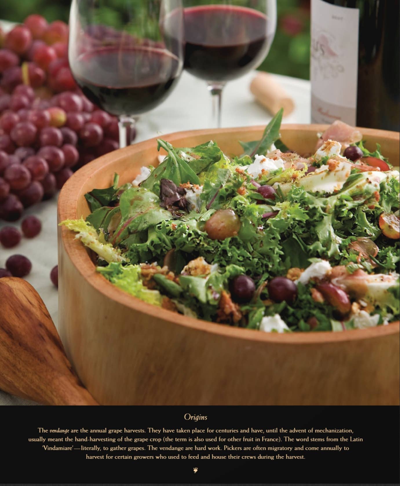 A Menu for all Season - Autumn