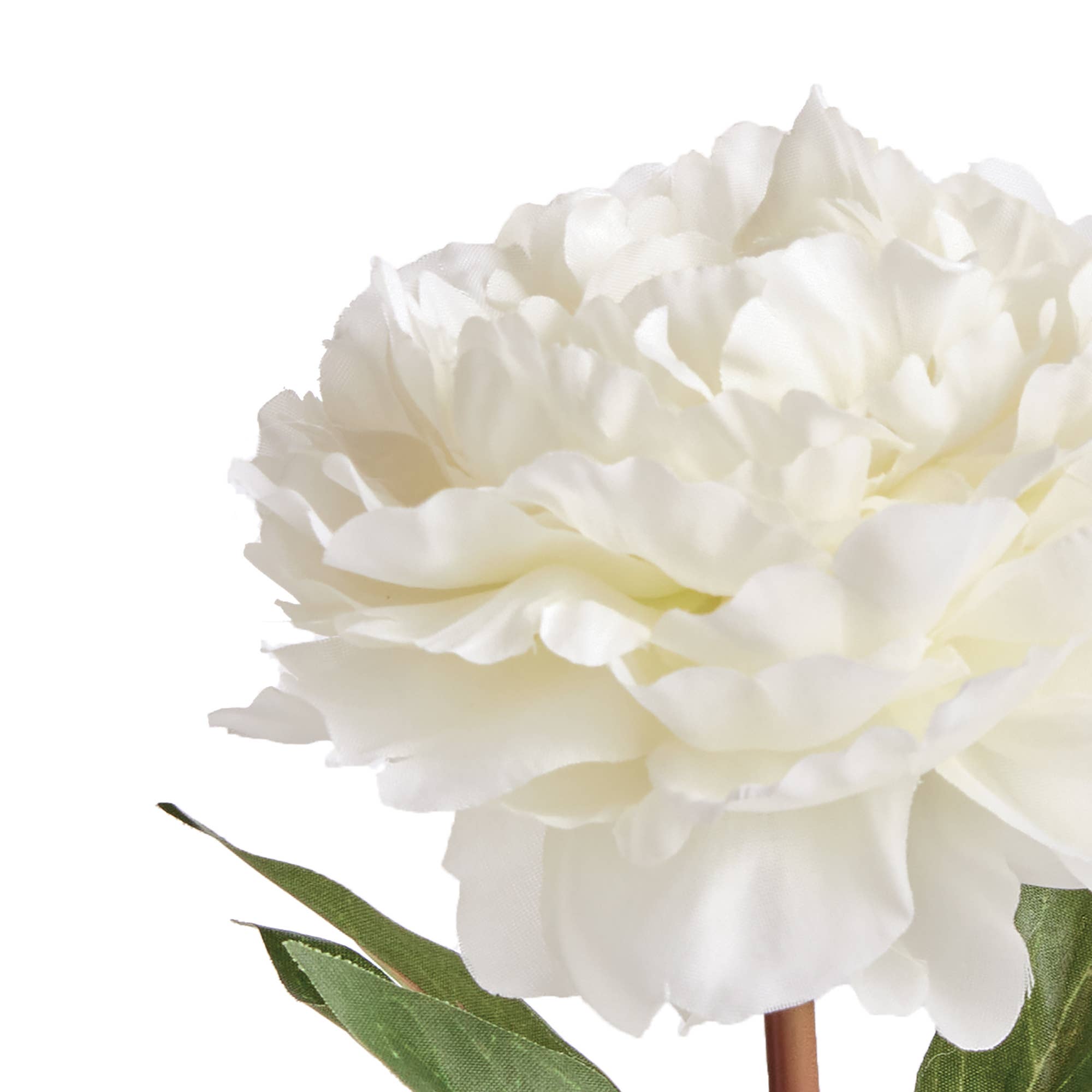 Mini Peony Pot Cream