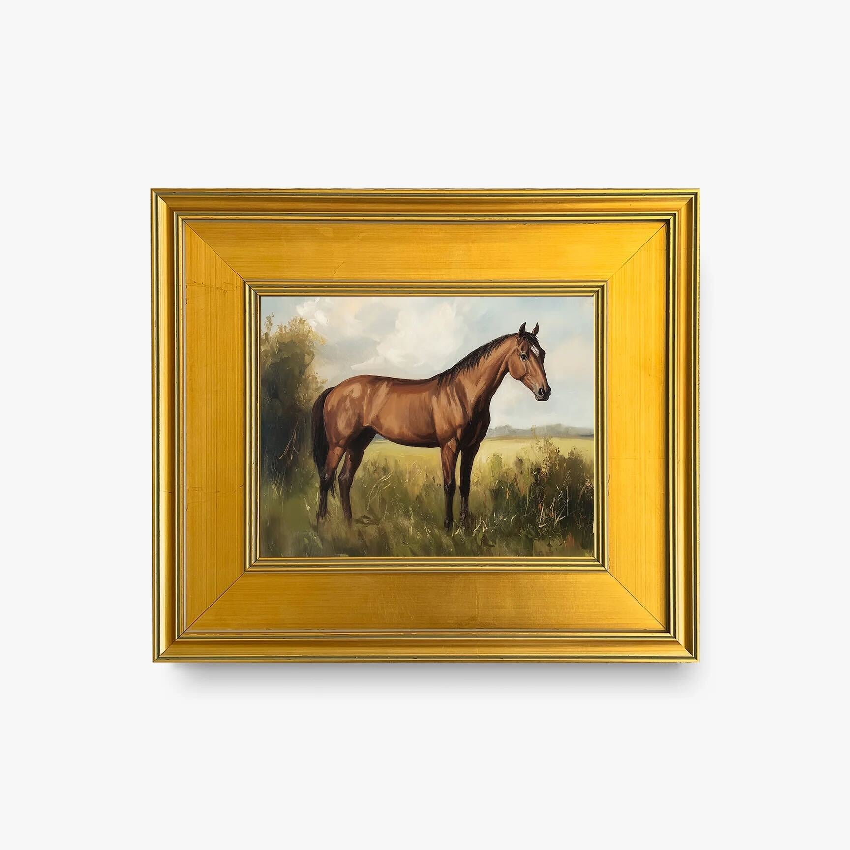 Show Horse