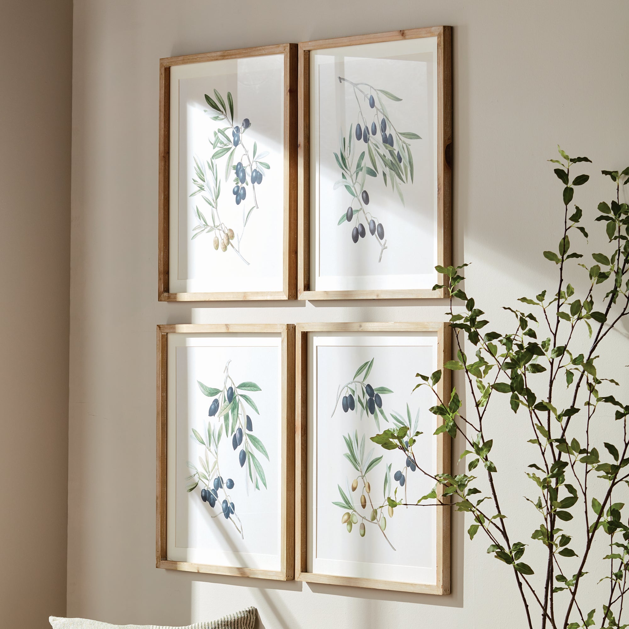 Olive Stems Study Set