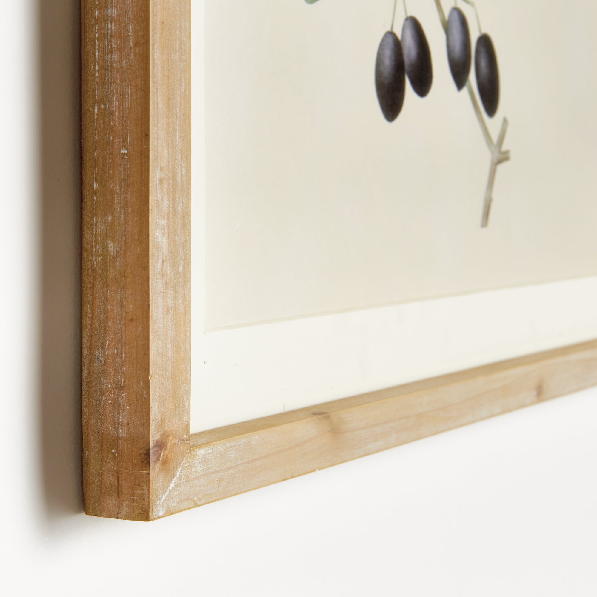 Olive Stems Study Set