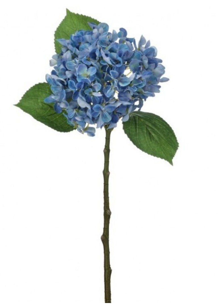 New England Hydrangea Stem