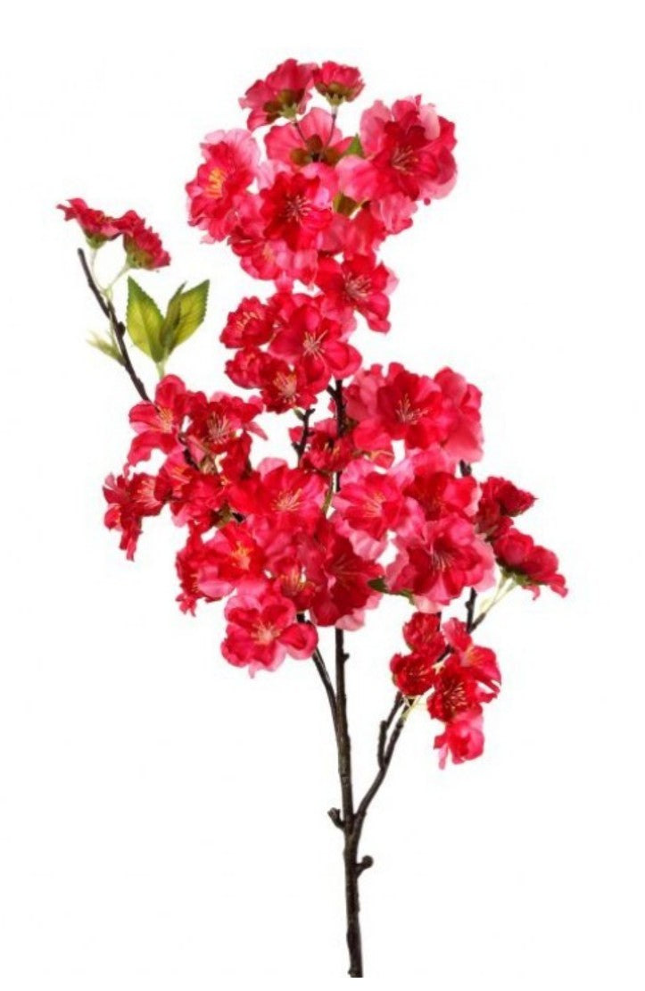 Sweet Cherry Blossom Stem