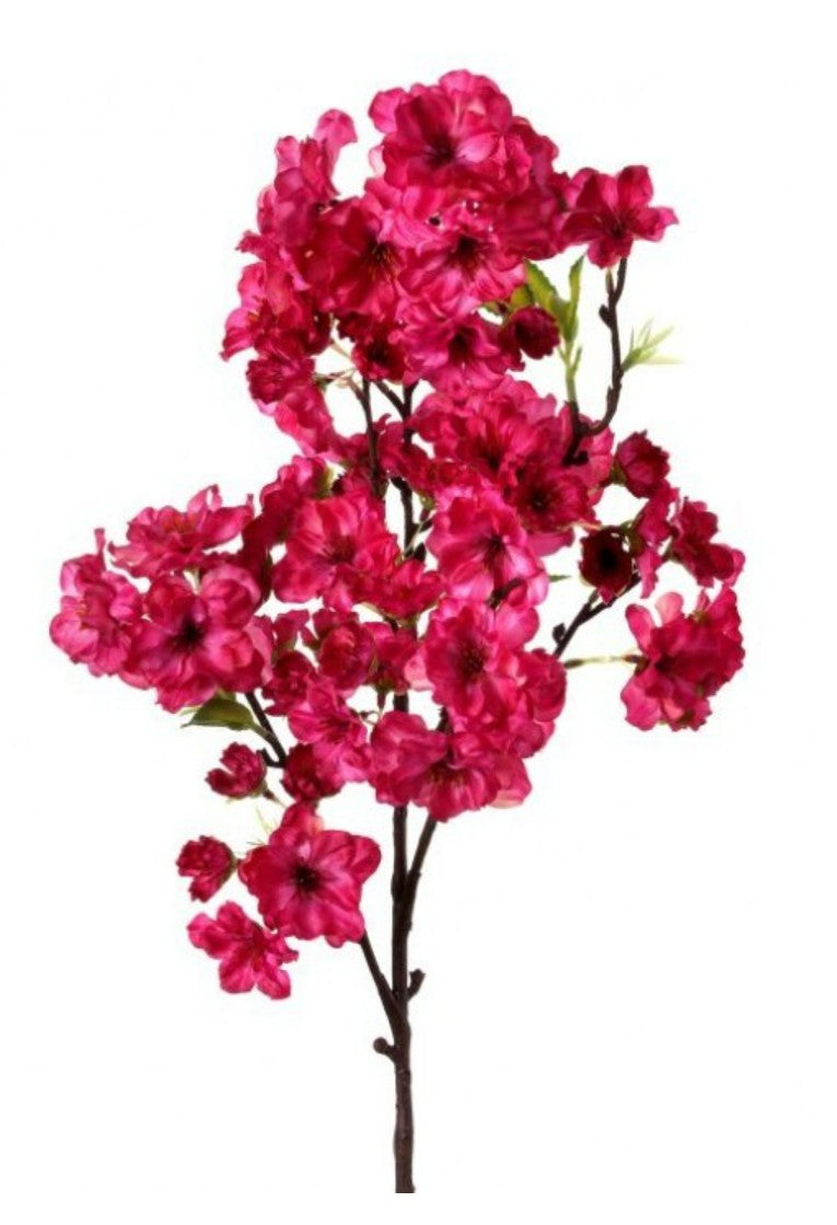Sweet Cherry Blossom Stem