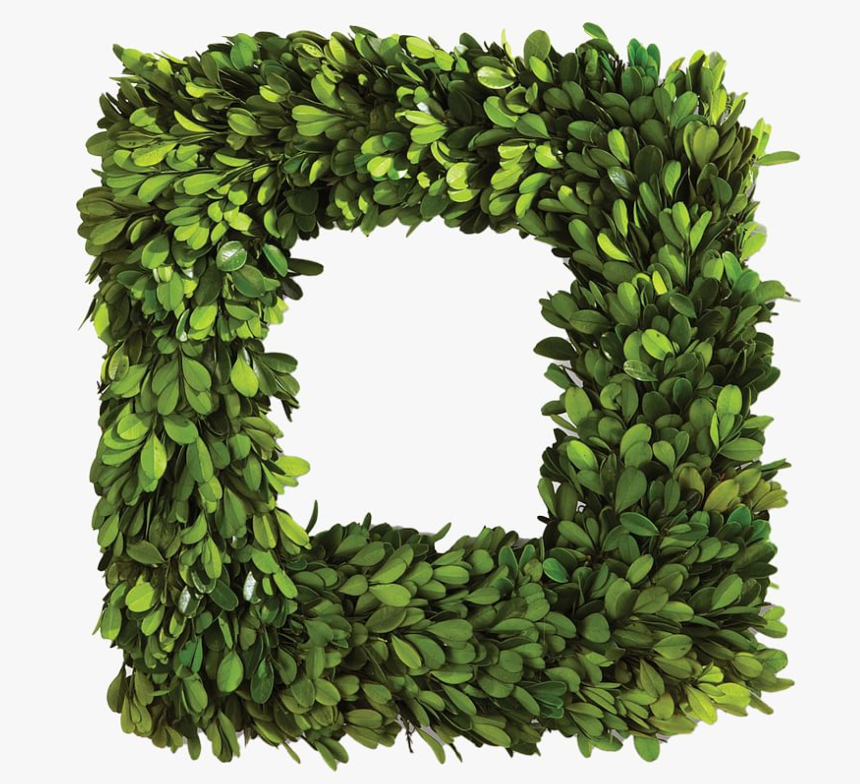 Square Preserved Boxwood Wreath