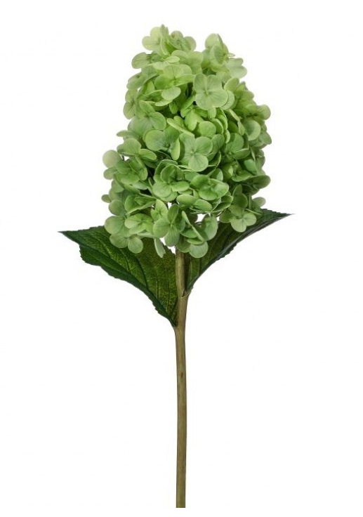 Soft Touch Hydrangea Stem