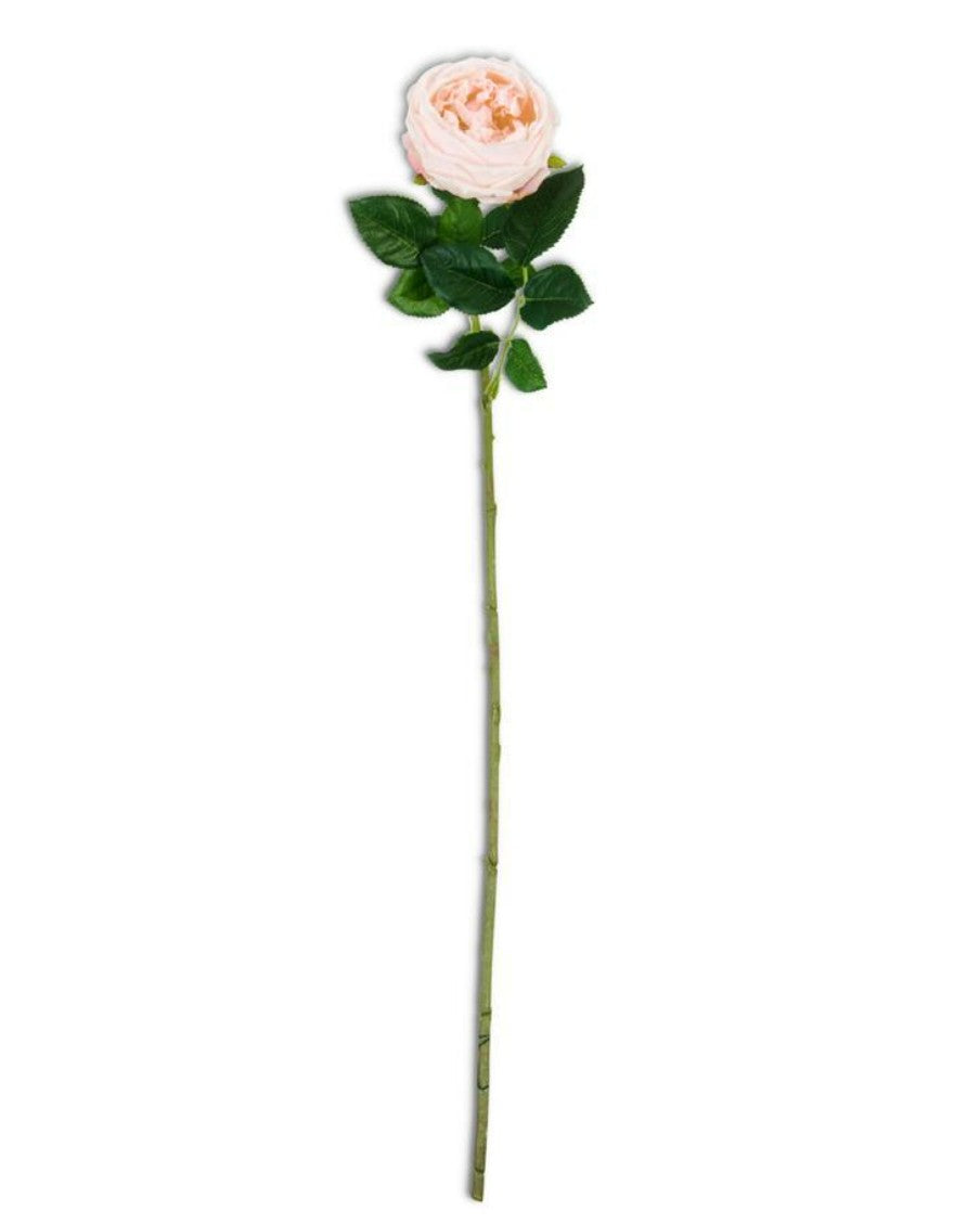 Real Touch Austin Rose Stem - Peach