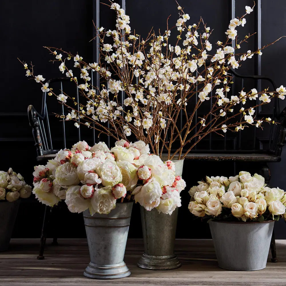 Peonies 21", Bundle of 3 Cream