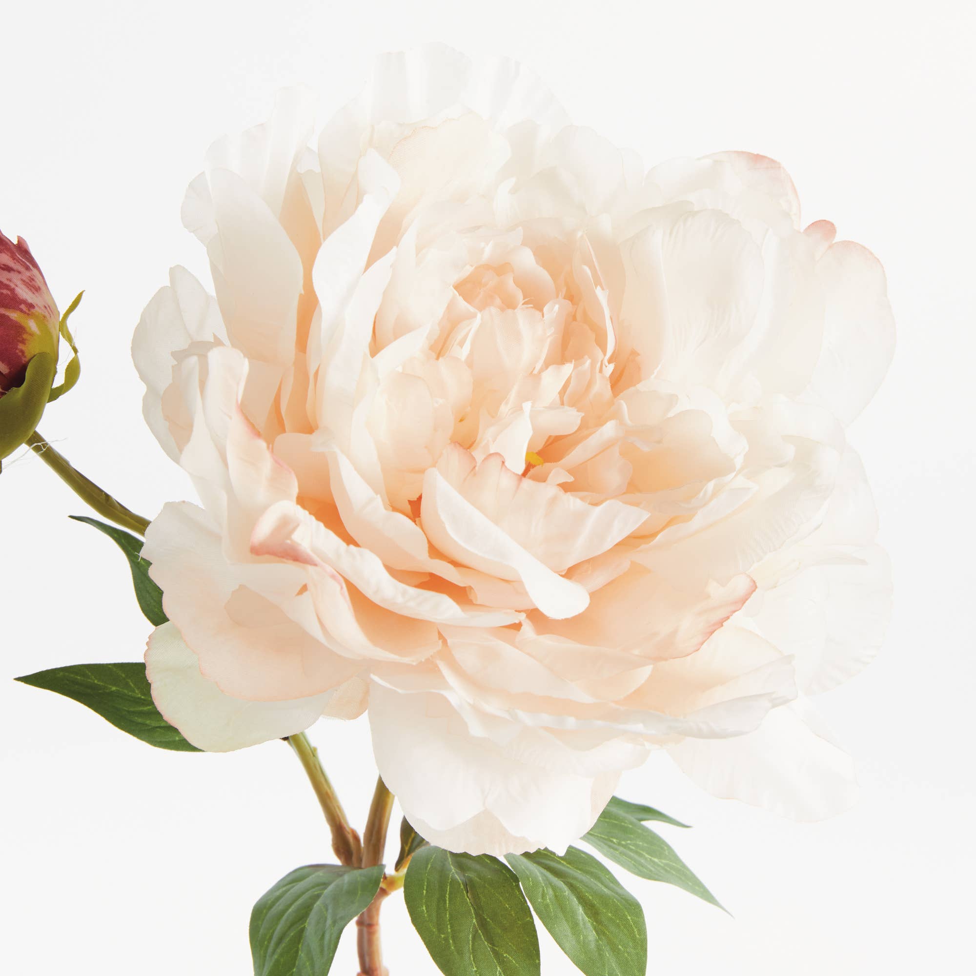 Peony Stem Light Pink 21"