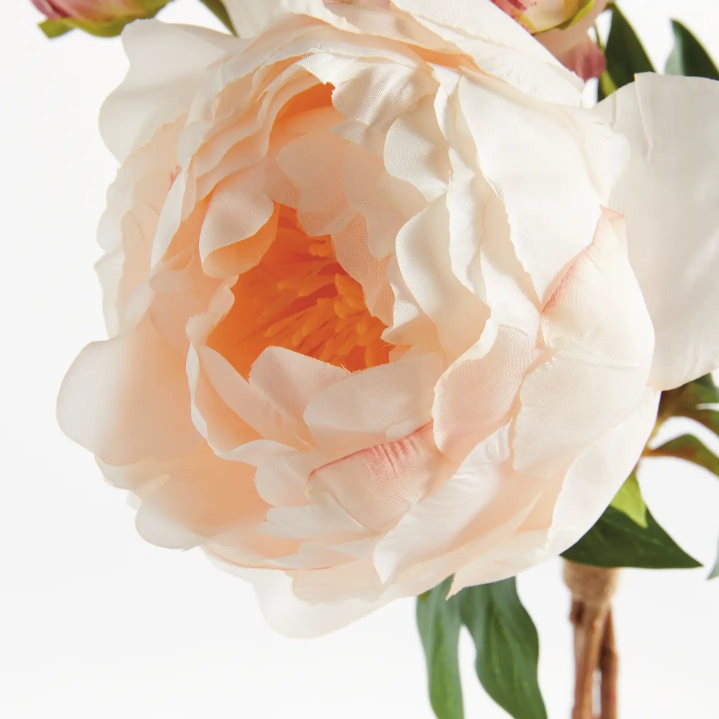 Peonies 21", Bundle of 3 Light Pink