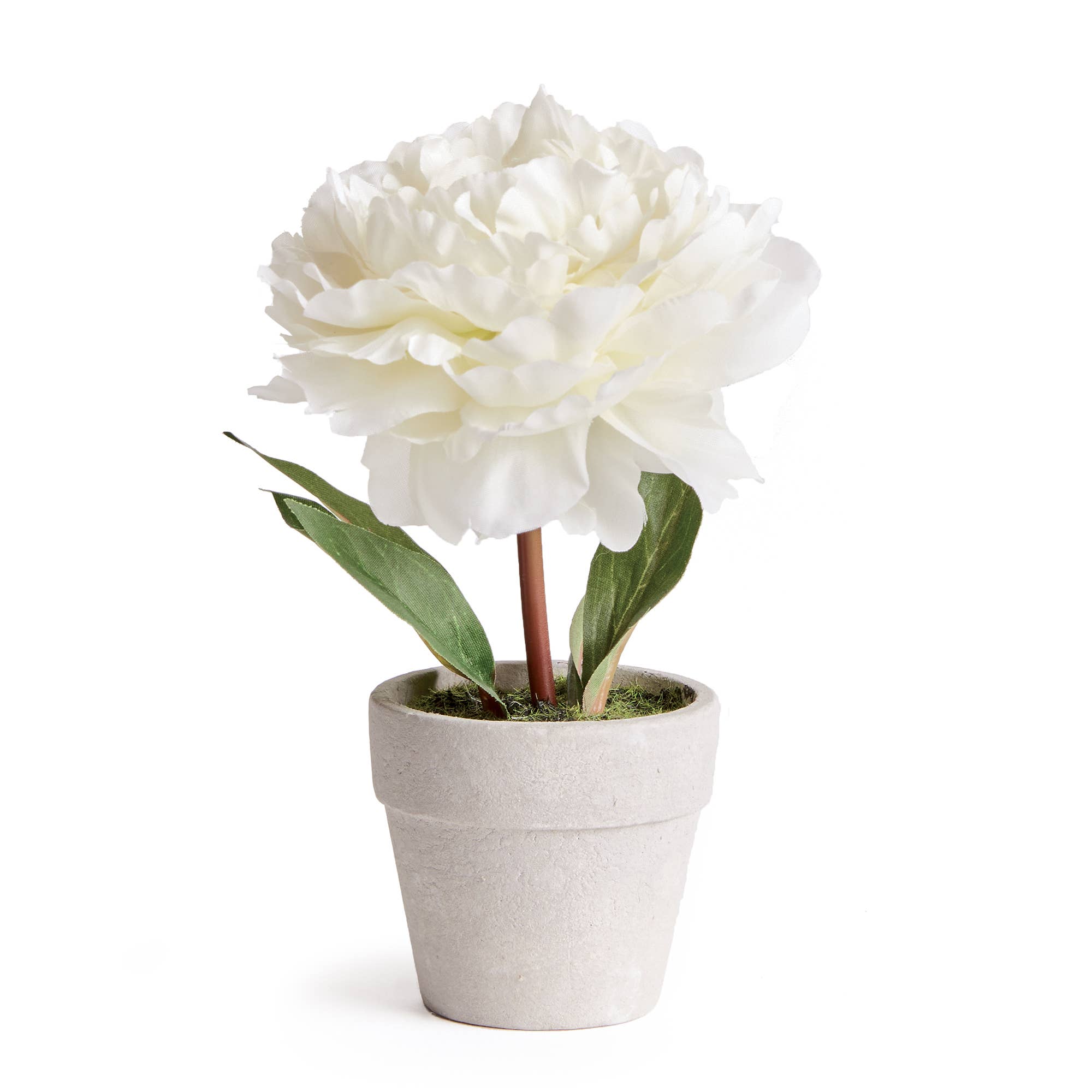 Mini Peony Pot Cream