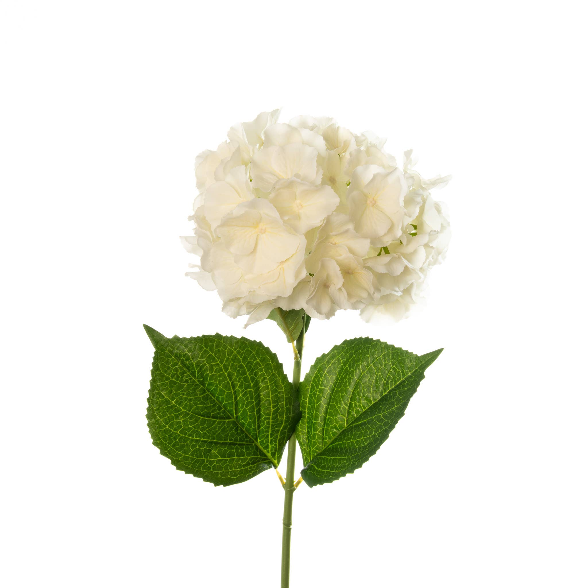 Real Touch Hydrangea Ivory 29"