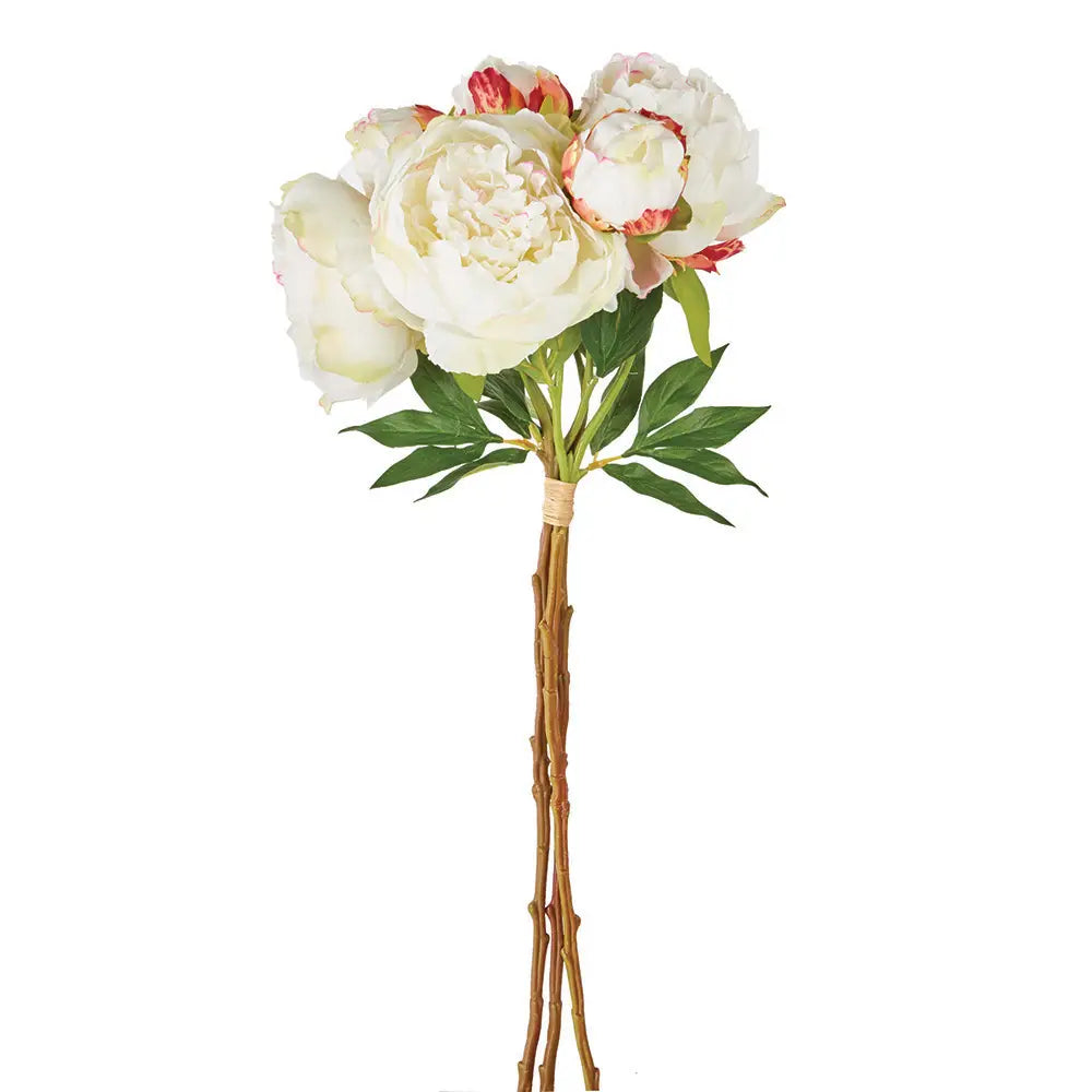 Peonies 21", Bundle of 3 Cream