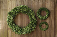 9-3/4" Rnd Boxwood Wreath